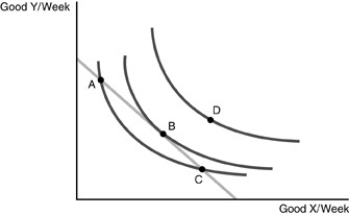   -Refer to the above figure. Given the indifference map and budget constraint represented above, what are all possible points at which that the individual can consume? A)  Points A and C only B)  Point B only C)  Point D only D)  Points A, B and C only