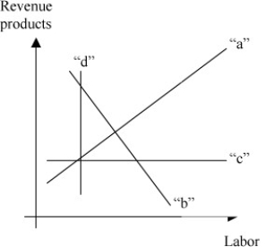   -In the above figure, the marginal revenue product is represented by line A)   a.  B)   b.  C)   c.  D)   d. 