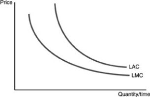 <strong> Refer to the above figure. The long-run average cost curve and the long-run marginal cost curves represent</strong> A)the cost curves for a competitive firm. B)the cost curves for a natural monopoly. C)a situation where a firm has control over the raw materials. D)a situation where a firm has a patent.
