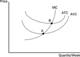  -Refer to the above figure. The competitive firm's short run supply curve A) starts at A and goes along the MC curve as quantity increases. B) starts at B and goes along the MC curve as quantity increases. C) starts at A and goes along the AVC curve as quantity increases. D) starts at B and goes along the ATC curve as quantity increases.