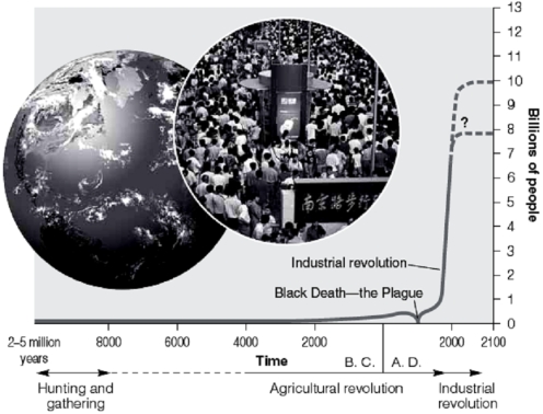   -In the figure above note that following the Black Death, the line representing the total human population rose dramatically.This rise indicates a fundamental relationship between births, deaths, and growth rates.Discuss this relationship, indicating why the steep rise occurred, and why an expected leveling off may occur soon.