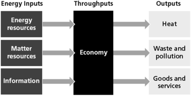   -The figure above indicates the general flow within an economic system.For many years this concept has been thought of as indicative of individual nations, or subunits of nations.Now it is increasingly indicative of a global economy.What changes are occurring as a result of this change to the global economy?
