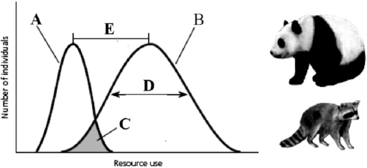    Use the Figure above, which represents the niche of the Panda and the raccoon, to answer the following question(s). -Which of the two animals, the panda or the raccoon, is considered a generalist?