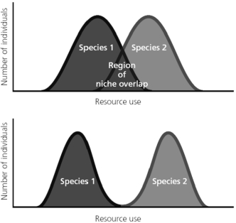   -Observe the Figure above.Notice that in the upper graph the two species overlap.That region of niche overlap places the species in competition for the shared resource.Explain why this is not useful and how the niches of the two species have come to be separated as shown in the lower graph.