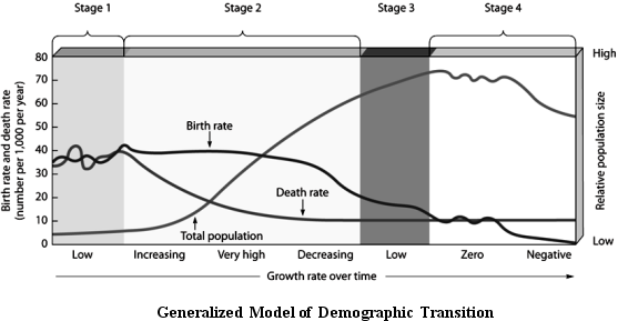      Use the Figure above to answer the following question(s). -Choose the stage in which death rates decrease and birth rates are high.