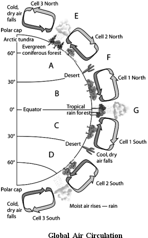      Use the Figure above to answer the following question(s). -Choose the letter(s) that represent(s) cool, dry air falling.