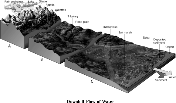      Use the Figure above to answer the following question(s). -Choose the zone containing wider, lower elevation streams.