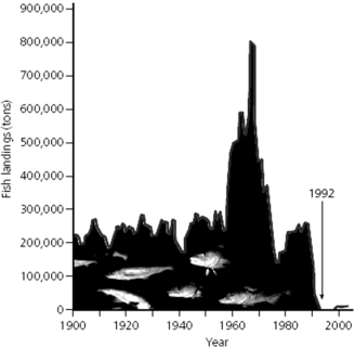    Use the Figure above to answer the following question(s). -In approximately what year did the catch begin to rise again?