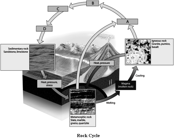      Use the Figure above to answer the following question(s). -Choose the process in which rocks are subjected to sun, wind, and precipitation.