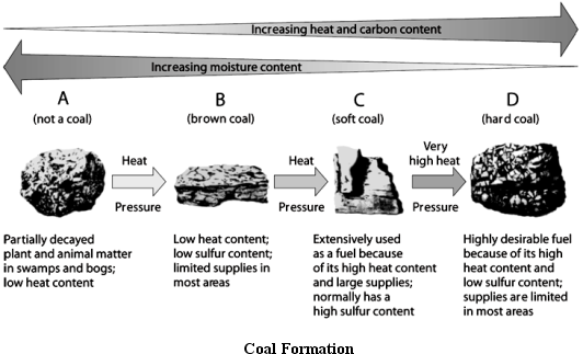      Use the Figure above to answer the following question(s). -Which letter indicates bituminous coal.