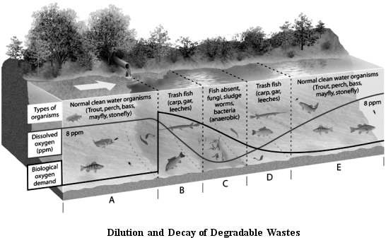      Use the Figure above to answer the following question(s). -In which zone has the stream recovered, with a return of clean water organisms?