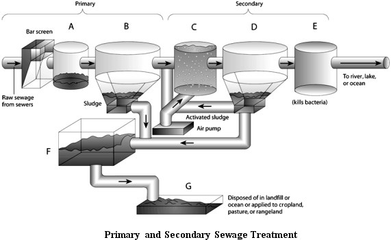      Use the Figure above to answer the following question(s). -Choose the letter which indicates where bacteria are killed and water is ready to re-enter the environment.