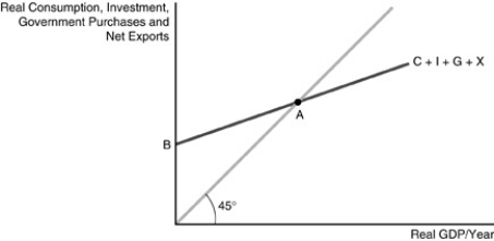  -Refer to the above figure. Point B A) equals autonomous consumption. B) equals autonomous consumption plus autonomous consumption plus planned investment plus autonomous government spending plus autonomous net exports. C) has no special significance. D) equals government expenditures.