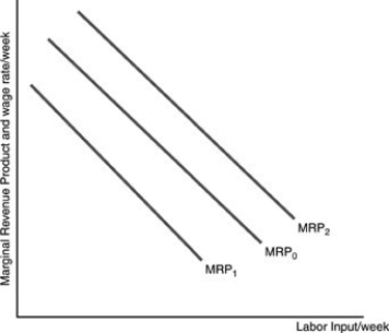   -Refer to the above figure. The firm is operating using MRP0. An increase in demand for the product has occurred. The relevant curve for the firm after the increase in price A)  is MRP0. B)  is MRP1. C)  is MRP2. D)  could be MRP1 or MRP2 depending upon whether the firm was earning a positive profit.