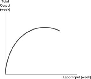   -Refer to the above figure. The curve reflects A)  the law of diminishing marginal product in labor. B)  the law of increasing marginal product in labor. C)  the law of diminishing marginal product in capital. D)  the law of increasing marginal product in capital.