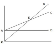 From the graph given below, identify the sales revenue line.   A)  OB B)  AC C)  AD D)  AE