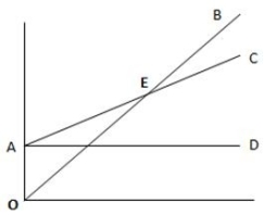 From the graph given below,identify the fixed costs line.   A)  OB B)  AC C)  AD D)  AE