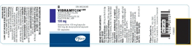 Calculate the following dosage.Separate answers with a comma,followed by a space. Order: Vibramycin 200 mg PO BID for 14 days Available:   Administer _______ capsule(s)per dose and the total number of capsules that the patient will take in 14 days is _______ capsules.