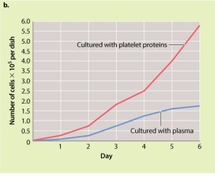 Based on the data provided in the two graphs shown in Figure 9.5, which method of culturing resulted in the greatest number of fibroblast cells on day 6?     A) fibroblasts cultured with serum B) fibroblasts cultured with platelet proteins C) fibroblasts cultured with plasma D) The same results are obtained whether the fibroblasts are cultured with serum or with platelet proteins.
