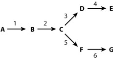 In the metabolic pathway illustrated below, the starting material (substrateA ) is converted equally to one of two end products, E or G. Use the diagram of the pathway below to answer the following questions. Letters indicate the substrates and products, and numbers indicate the enzymes. In this pathway, the intermediate, C, is a substrate for both enzyme 3 and enzyme 5 and is converted with equal efficiency to D and F.      If end product E inhibits enzyme 1, which of the following would you expect to observe? A)  an increase in the production of G B) a decrease in the production of E, but no change in the production of G C) a decrease in the production of E and G D) an increase in the production of A