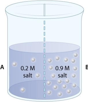 A beaker contains two solutions of salt dissolved in water. The two solutions have different concentrations (measured by molarity, M)  and are separated by a membrane that is permeable to both salt and water.   Which of the following statements is TRUE? A) Side A is hypotonic relative to side B. B) Side A is isotonic relative to side B. C) Side A is hypertonic relative to side B.