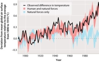 Figure 49.7 shows observed temperature changes versus those predicted for natural causes of increased temperature and natural plus anthropogenic causes of increased temperature. How would the lines be different if humans were predicted to have no impact on global temperatures?   A)The line for natural causes would be the same as that for anthropogenic plus natural causes. B)All three lines on the graph would be identical. C)Observed data would match the zero line on the graph, and the natural causes and anthropogenic plus natural causes lines would fluctuate above the zero line. D)The line for natural causes would be above the zero line, and the line for natural plus anthropogenic causes would be below the zero line on the graph.