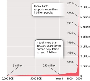 Examine Figure 49.1 below illustrating human population growth. What pattern of growth are we currently exhibiting?   A)exponential growth B)logistic growth C)intrinsic growth D)geometric growth E)None of the answer options is correct.