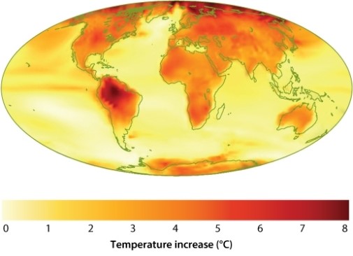 Examine Figure 49.7 below and compare the projected change in temperature in central South America and central Africa at the equator (draw an imaginary line across the globe at its widest point and examine a spot in the middle of each continent along that line) . Which of the following BEST describes the predicted changes?   A) Central South America will warm by an average of 7-8 degrees; central Africa will warm by around 3-4 degrees. B) Central South America will warm by an average of more than 8 degrees; central Africa will warm by 1-2 degrees. C) Central South America will remain about the same; central Africa will warm by 7-8 degrees. D) Central South America will warm by 2-3 degrees; central Africa will not change. E) Both central South America and central Africa will warm by 4-5 degrees.
