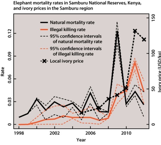 Based on the figure below, which of the following statements is/are a direct reflection of the data presented?   A) Increasing ivory prices always increases the amount of illegal killing of elephants. B) Natural mortality rate is higher than the illegal killing rate of elephants between 1998 and 2006. C) After 2008, increasing ivory prices are coincident with increases in illegal killing of elephants. D) In 2010 illegal killing rates surpassed natural mortality rates of elephants.