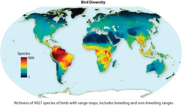 The red portions on the figure below represent biodiversity hotspots for birds.  