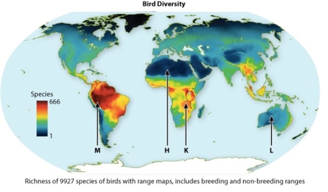 Which region on the map below has the HIGHEST species diversity?   A) region M B) region Q C) region K D) region L
