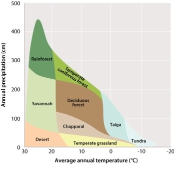 Most terrestrial biomes are defined by their average annual temperature and precipitation, and the range of values can be organized in such a way to produce the figure below.   Based on your understanding of wind, air, and water movements, would you expect to find each of these biomes represented in both the Northern and Southern hemispheres at roughly equal latitudes? A) no, because Earth rotates on an axis B) no, because land masses are not equally distributed on Earth C) yes, because there are circulation cells that form and move in an equal and opposite way on the Northern and Southern hemisphere