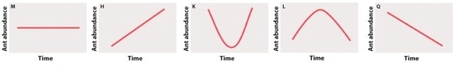 Aphids can feed in the leafy treetops (or tree canopies) . Ants are usually not abundant in the tree canopies unless aphids are also present. You introduce aphids to an area of the tree canopy and survey the abundance of ants over time. Which of the plots below represents your expected trend in ant abundance?   A) graph M B) graph H C) graph K D) graph L E) graph Q