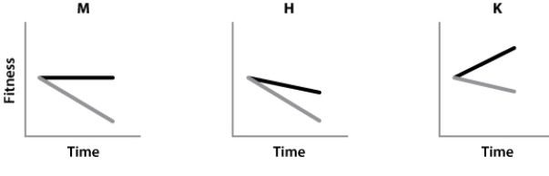 Competition for resources occurs often within communities. The black line represents the change in fitness for one species, and the gray line represents the change in fitness for another species. Which of the following graphs represents the change in fitness when there is competition for the same resource?   A) graph M B) graph H C) graph K
