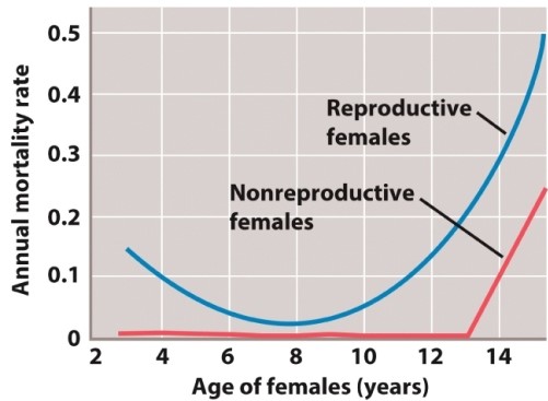 <strong>The figure below illustrates a life-history trade-off between survivorship and reproduction in red deer from the Isle of Rhum in northern Scotland.   At what age is this trade-off minimized (i.e., at what age is the cost of reproduction LOWEST)?</strong> A)4 years B)6 years C)8 years D)10 years <div style=padding-top: 35px> 