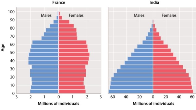Consider the data in Figure 46.8 illustrating the age structure of France and India.   In many parts of the world, the average age of reproductive maturity is increasing as humans move from urban to rural environments. Suppose that the current average age of first reproduction is 15 years old in India and 20 years old in France. How would a 5-year increase in the average age of reproductive maturity in both countries be expected to affect the per capita birth rate, and would this effect be greater in France or in India? A) increase in per capita birth rate, greater effect in India B) increase in per capita birth rate, greater effect in France C) decrease in per capita birth rate, greater effect in India D) decrease in per capita birth rate, greater effect in France
