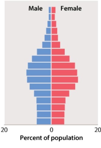 The following age pyramid was determined from a population.   What can be stated about the population? A) This population is experiencing population growth. B) This population is experiencing population decline. C) This population is experiencing population stability.