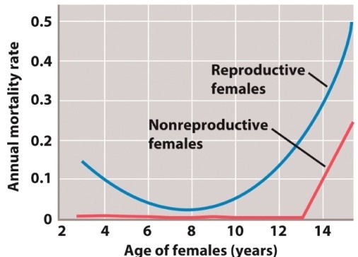 The figure below illustrates a life-history trade-off between survivorship and reproduction in red deer from the Isle of Rhum in northern Scotland.   At what age is the trade-off maximized (i.e., at what age is the cost of reproduction HIGHEST) ? A) 4 years B) 6 years C) 8 years D) 12 years
