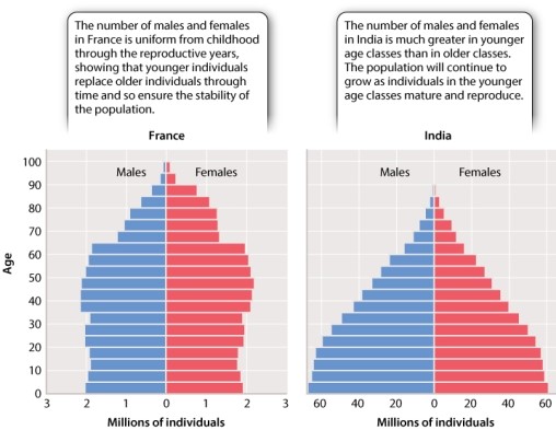 Recall that the age structure histogram (for humans)  of India is shaped like a pyramid (Figure 46.8) . What does this tell you about India's population?   A) It is shrinking. B) It is growing. C) It is relatively constant. D) It is currently shrinking, but will increase over the next few years. E) It is currently growing, but will decrease over the next few years.