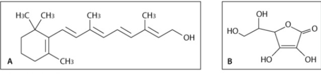 Which of the following vitamins is lipid soluble?   A) the vitamin labeled A B) the vitamin labeled B