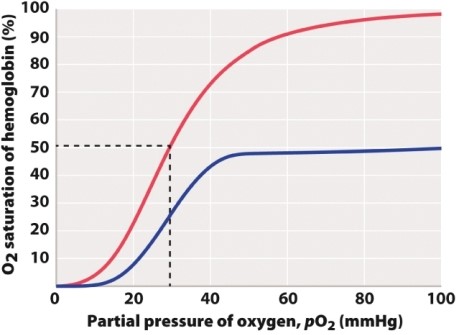The red curve in the graph below shows O<sub>2 </sub>saturation in normal conditions and the blue curve to the right shows O<sub>2 </sub>saturation in someone with carbon monoxide poisoning. You can determine from this curve that carbon monoxide:   A) decreases the amount of O<sub>2</sub> in the air. B) decreases the amount of hemoglobin. C) decreases the amount of O<sub>2</sub> that can bind to hemoglobin.