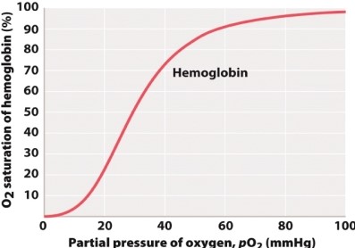Referring to the accompanying graph, when the partial pressure of oxygen is 38 mmHg, the % saturation of hemoglobin is expected to be:   A) 98%. B) 70%. C) 50%. D) 30%.