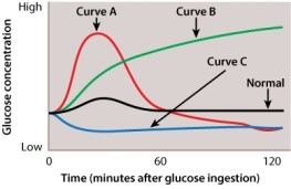 When a doctor suspects that a patient may have diabetes, she will often have the patient take a glucose challenge test. After the patient drinks a large amount of sugary solution, his blood is drawn and the circulating levels of glucose in the blood are determined. Which of the following curves do you expect from a patient with diabetes?   A) curve A B) curve B C) curve C