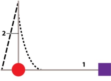 The diagram below is a lever system. The purple box is the load; the red circle is a hinge joint. The dotted and dashed lines are artificial muscles, or actuators. The solid lines are skeletal elements, labeled #1 and #2. Say you add a 1 kg load, cause the flexor actuator to shorten, and measure the actuator's force output. You then increase the load to 4 kg and repeat the experiment. You expect the actuator's force output to _____ with the increased load. A) increase B) stay the same C) decrease