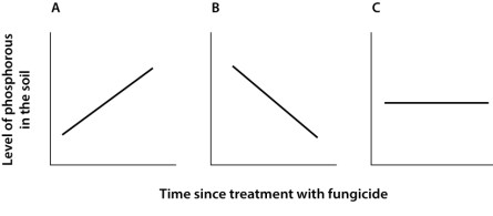 A gardener applies a specific fungicide to her plot that kills all mycorrhizal fungi. Which of the graphs below depicts changes in the amount of phosphorus in the soil after application of the fungicide?   A) graph A B) graph B C) graph C