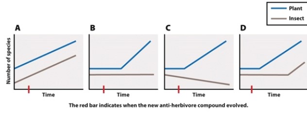 The  escape and radiate  hypothesis predicts that rates of speciation would be higher in plant and insect groups that are engaged in a coevolutionary arms race. Assume that there is a plant species that evolves a new antiherbivore compound, and then an insect that evolves resistance. Which of the following graphs would you expect if the scenario above were to occur?   A) graph A B) graph B C) graph C D) graph D
