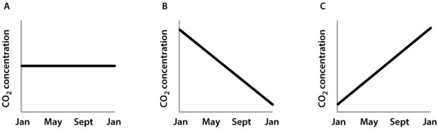 As shown in Figure 25.1 below, atmospheric CO<sub>2</sub> levels oscillate throughout the year.   How would this trend change if it were spring for an entire year? Select the graph below that represents the atmospheric CO<sub>2</sub> levels of an Earth with a full year of spring (assume you are in the Northern Hemisphere) .   A) graph A B) graph B C) graph C