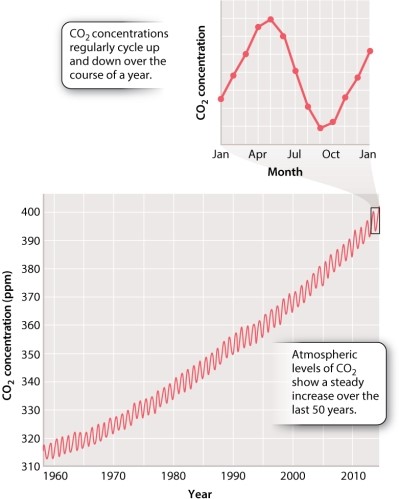 The Keeling curve in Figure 25.1, below, shows that while CO<sub>2</sub> levels oscillate on an annual basis, overall CO<sub>2</sub> levels increase from year to year.   Why has this trend continued in the last 50 years? A) increasing rates of aerobic respiration associated with the rise in world population B) decreasing rates of oxygenic photosynthesis by plants and algae C) clearing of forests to create agricultural land outside the tropics D) combustion of fossil fuels