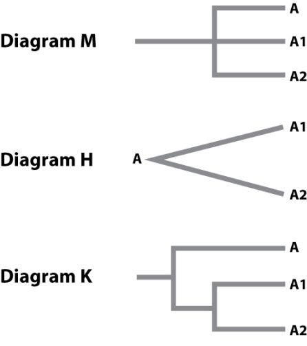 A population of rodents, called population A, lived together in harmony on a large landmass until one group of the population dispersed to a nearby island. Two million years later, the island population is split into two smaller, equal-sized populations when a river formed across the middle of the island. Now two new species have evolved on the island, A1 and A2. They have replaced the population from which they were derived. Which represents the phylogeny of the populations discussed in this scenario?   A) diagram M B) diagram H C) diagram K