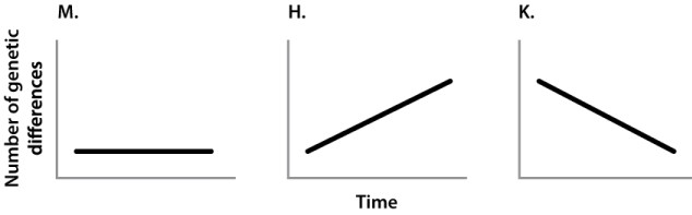 An ancestral population is split into two different groups, and they no longer interbreed after separation. Which of the following CORRECTLY describes the number of genetic differences that would be seen between the two populations?   A) graph M B) graph H C) graph K